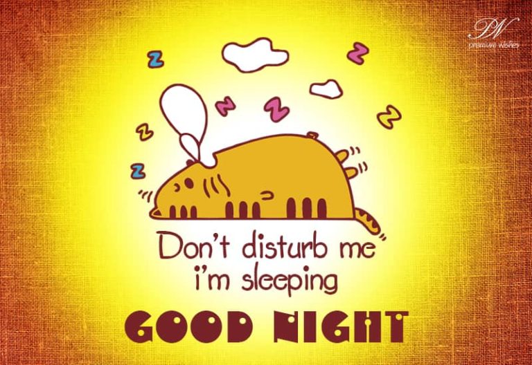 Good Night Wishes