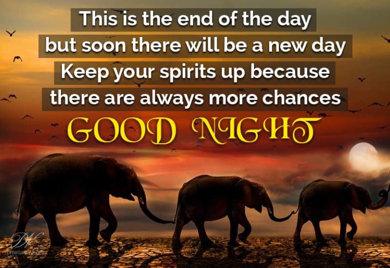 Good Night Wishes