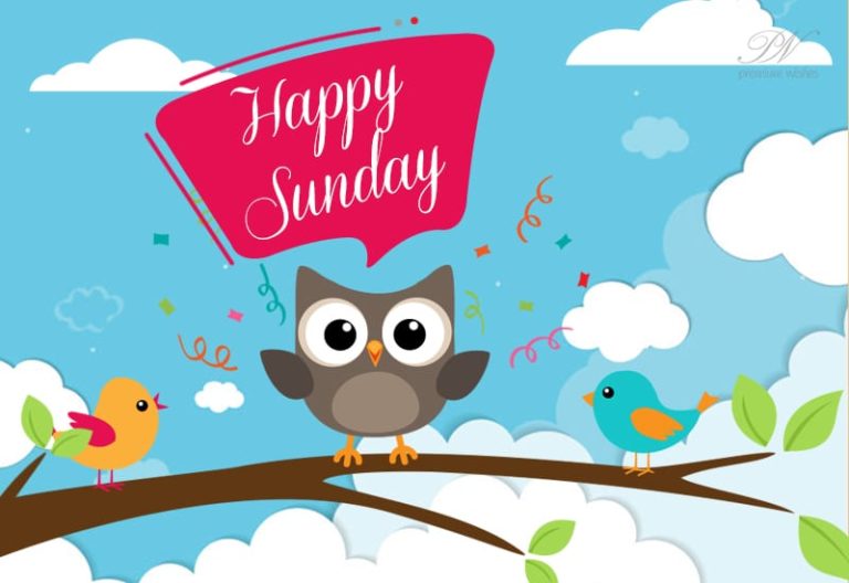 Happy Sunday – Meet and Greet Your Friends