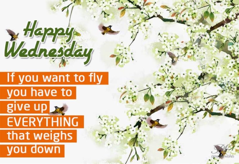 Happy Wednesday – Give up everything that weighs you down