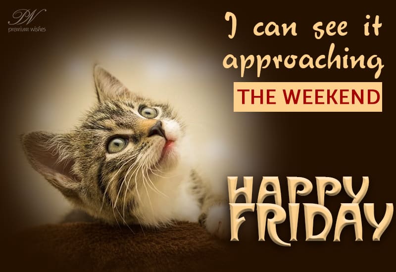 Happy Friday - Wishing You a Wonderful Start to the Weekend!