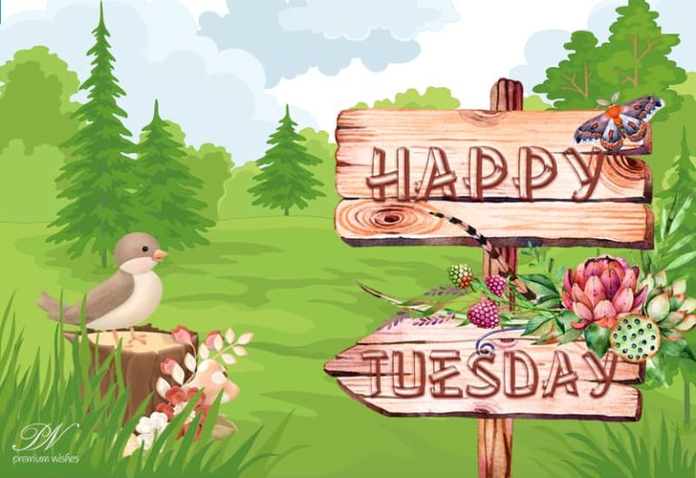 Happy Tuesday Friends – Enjoying The Chill?