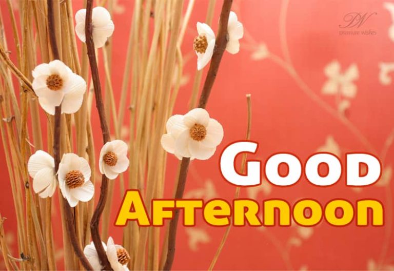 Good Afternoon Wishes