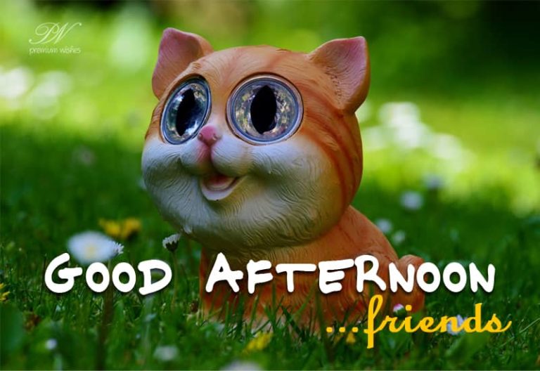 Good Afternoon Wishes