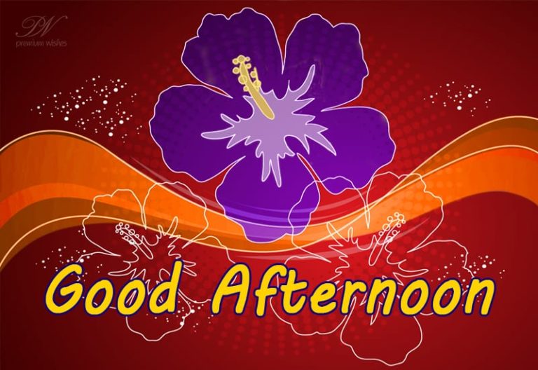 Good Afternoon Wishes