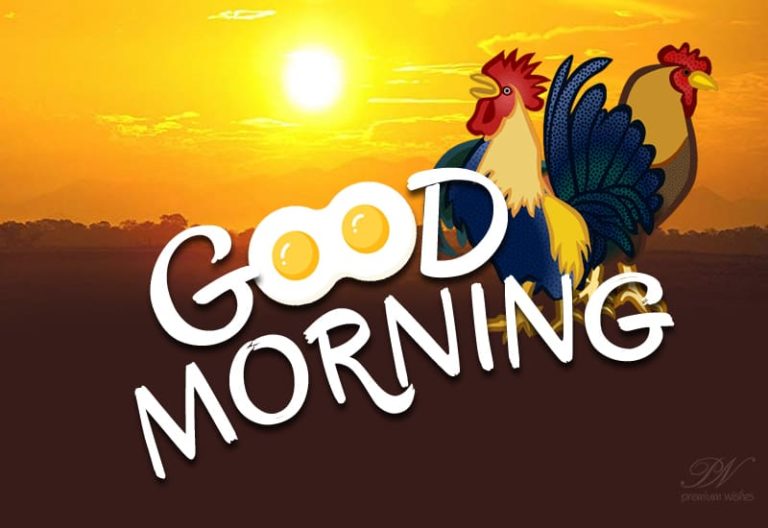 Enjoying the cool weather? Good Morning