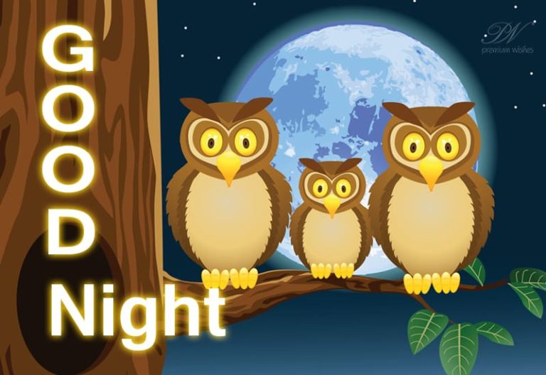 Good Night Wishes