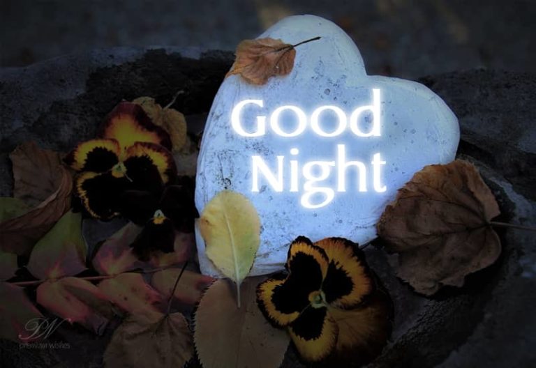 Good Night Wishes