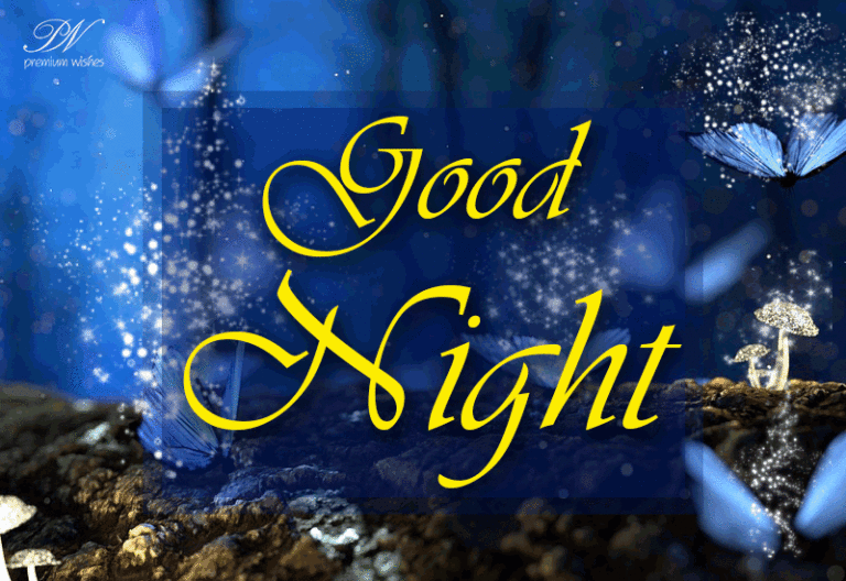 Good Night Wishes