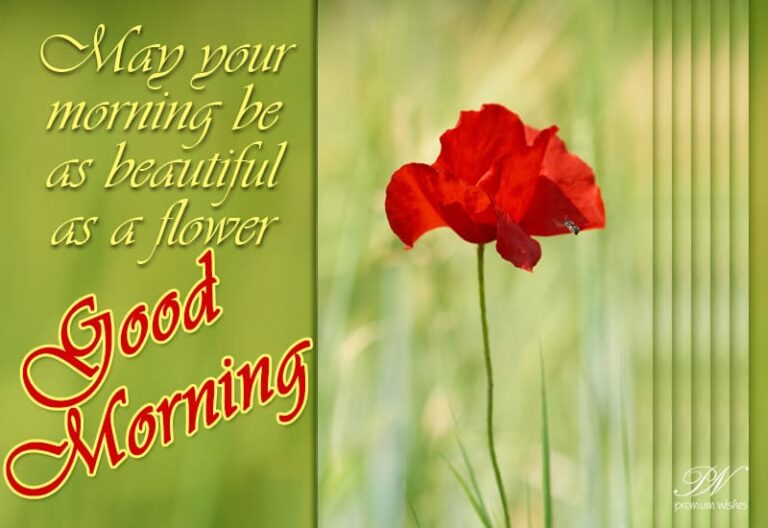 Good Morning – May your morning be as beautiful as a flower