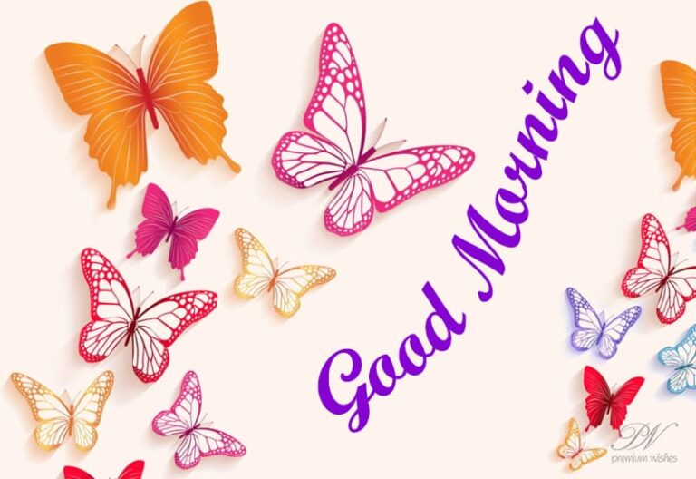 Good Morning – Have a lovely day