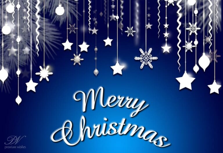 Have a great Christmas