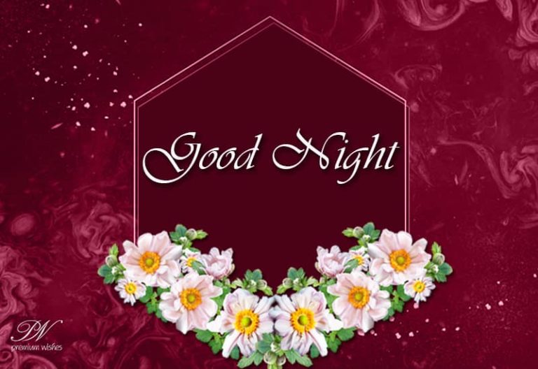 Good Night Wishes