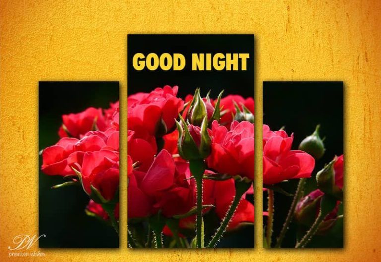 Good Night Wishes