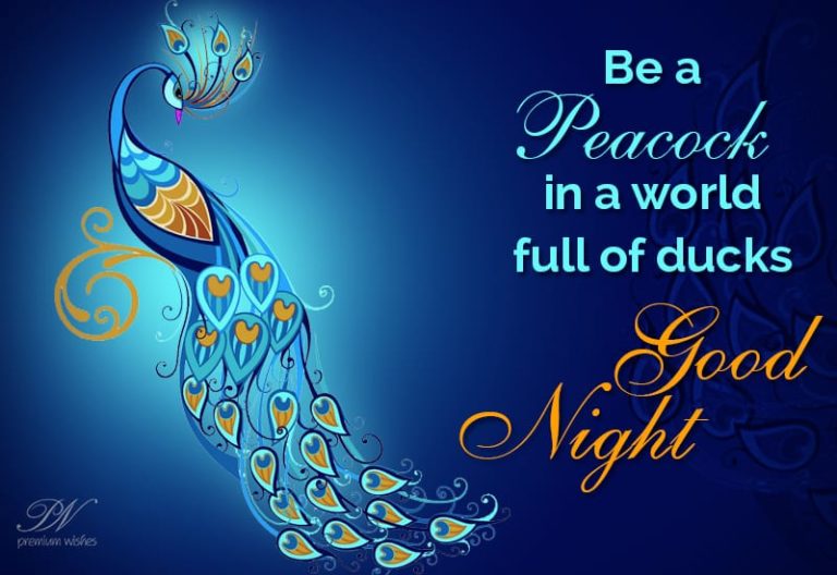 Good Night Wishes