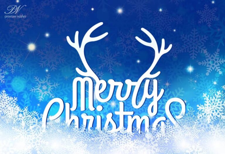 Merry Christmas and Seasons Greetings