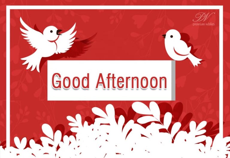 Good Afternoon Wishes