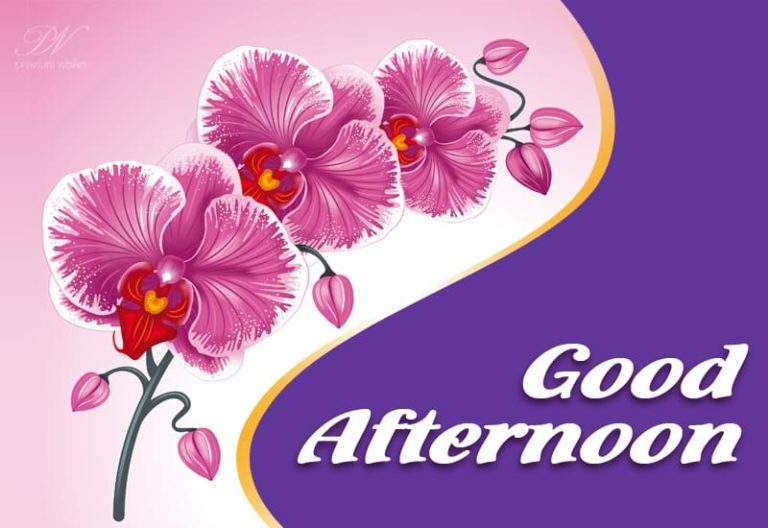 Good Afternoon Wishes