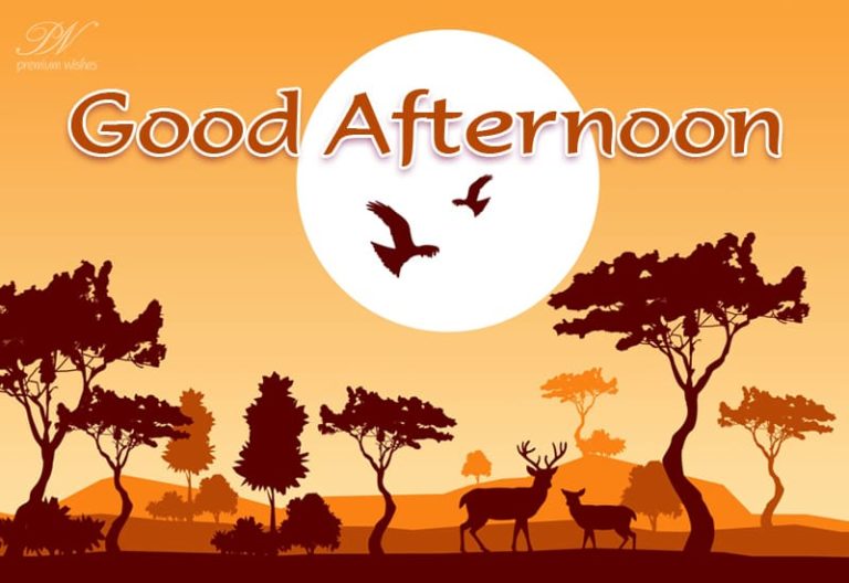 Good Afternoon Wishes