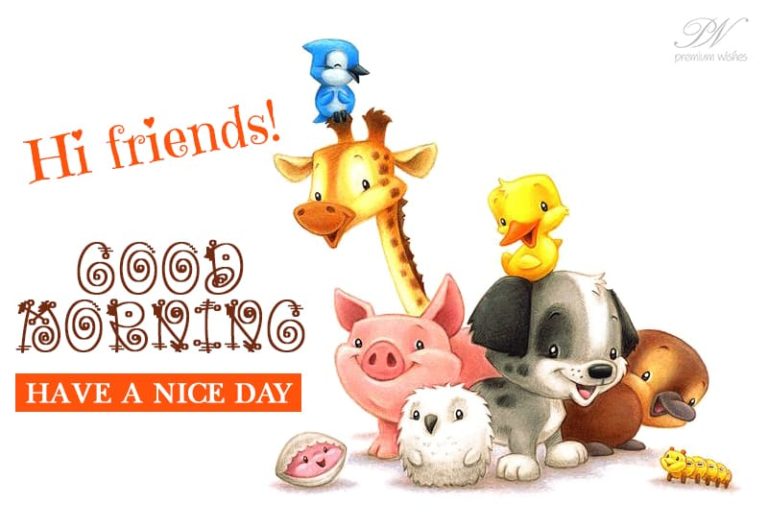 Hi Friends – Good Morning  – Have a nice day