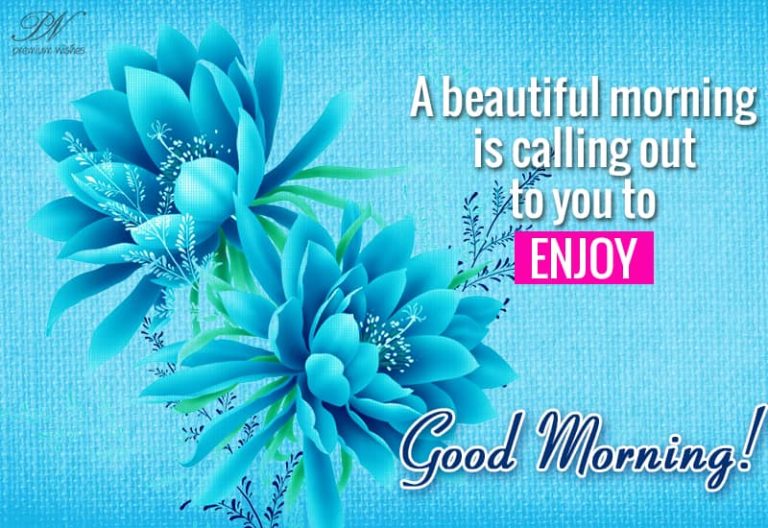 A beautiful morning is calling out to you – Enjoy