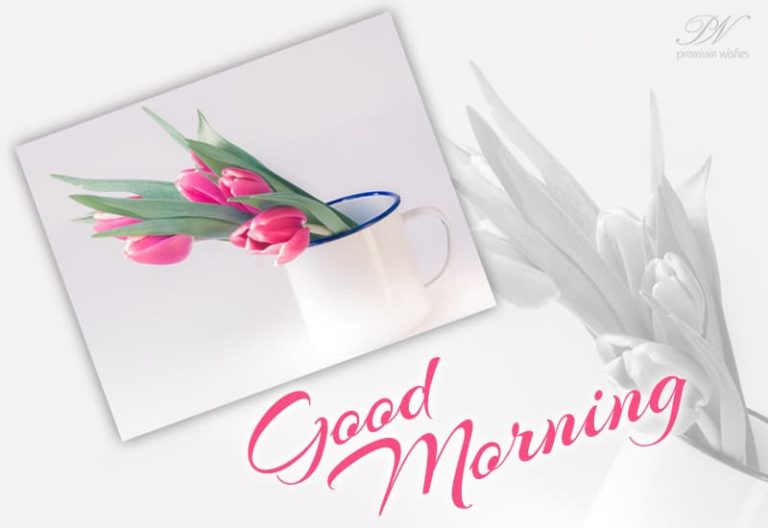 Good Morning – May happiness be with you