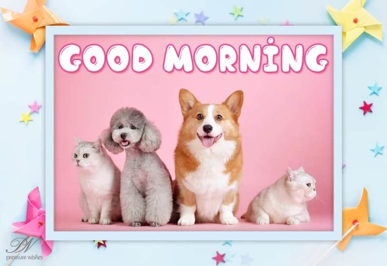 Good Morning Friends – Have A Pleasant And Fulfilling Day