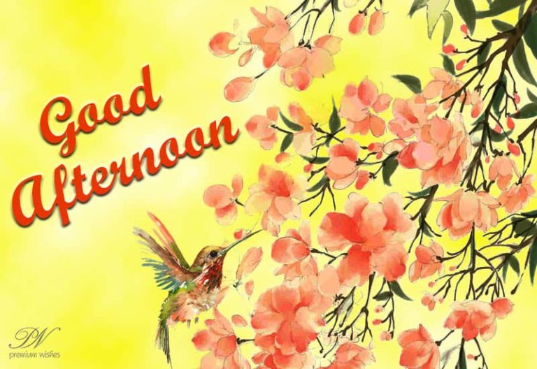 Good Afternoon Wishes