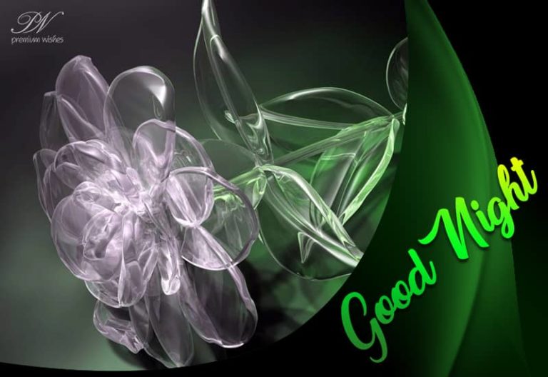 Good Night Wishes