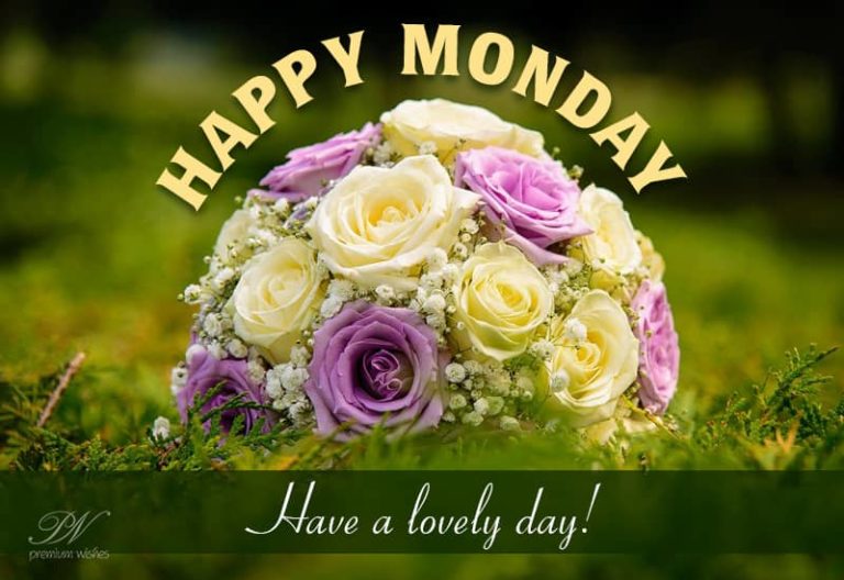 Happy Monday – Have a lovely day!