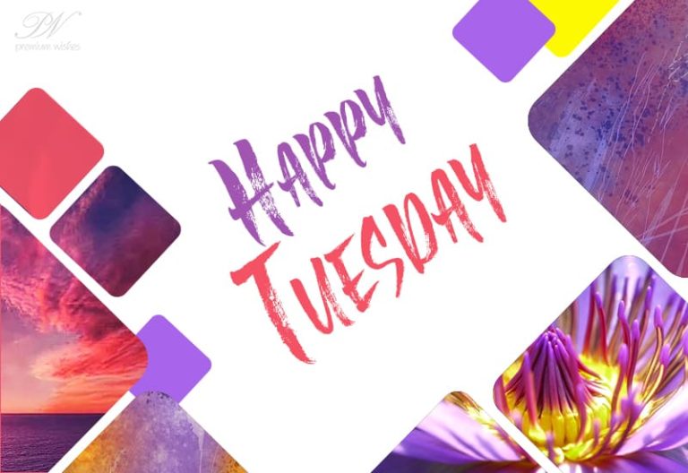 Happy Tuesday – Smile and Enjoy