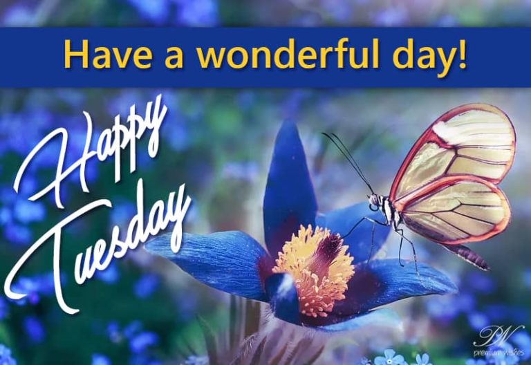 Have a wonderful Tuesday – Good Morning