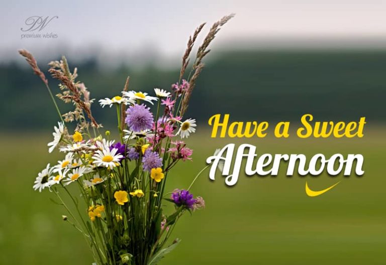 Good Afternoon Wishes