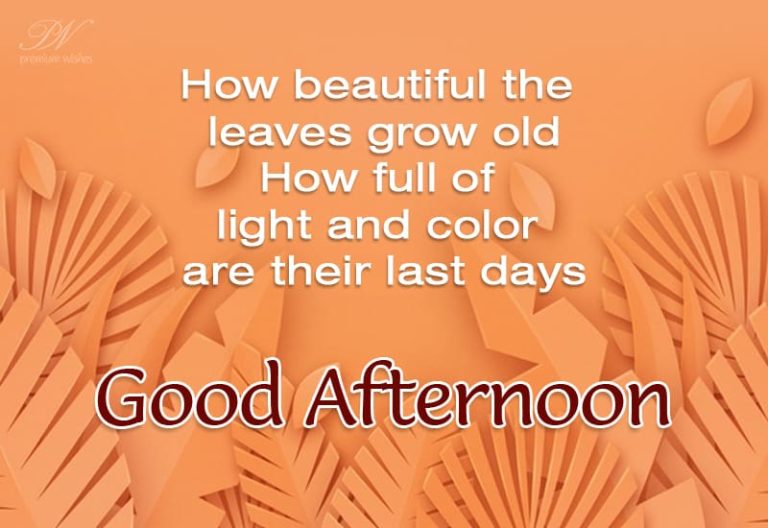 Good Afternoon Wishes