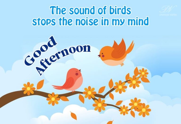Good Afternoon Wishes