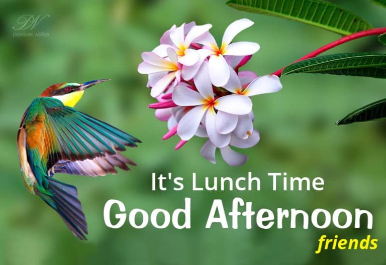 Good Afternoon It is Lunch Time