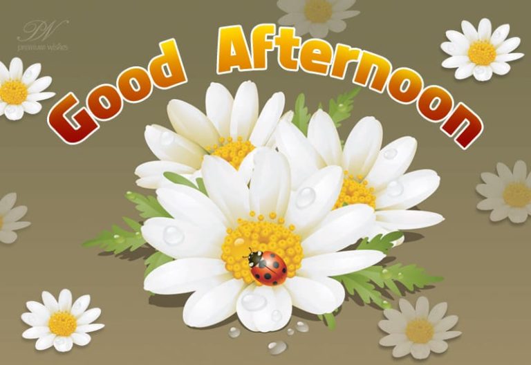 Good Afternoon Wishes
