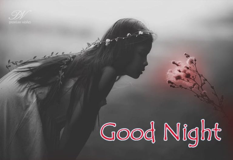 Good Night Wishes