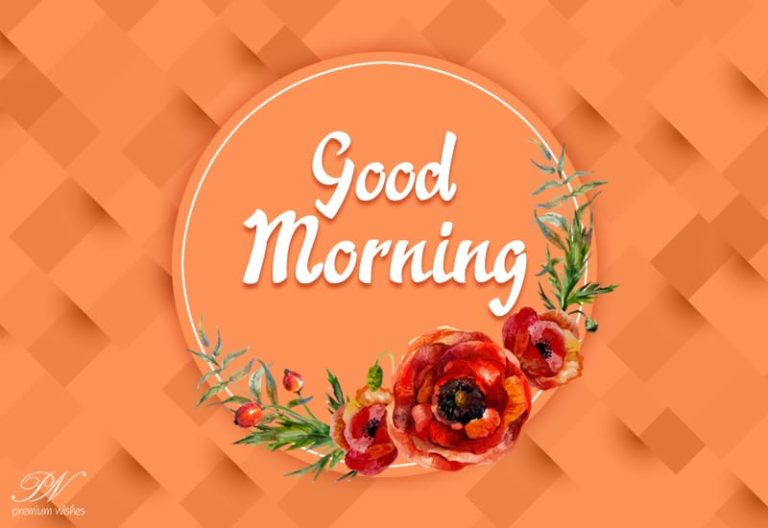 Good Morning Dear Friends – Have the nicest day ahead