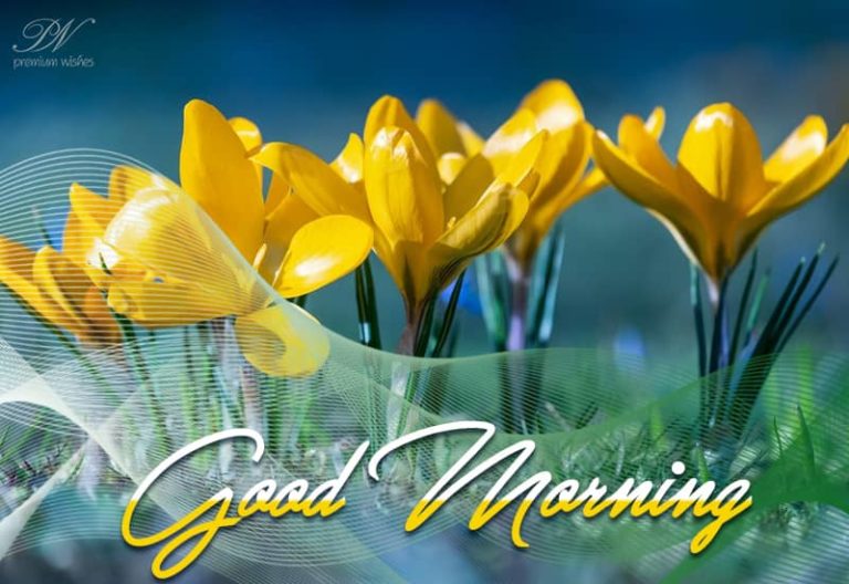 Good Morning – Shine Today