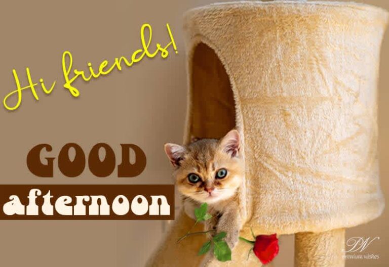 Good Afternoon Wishes