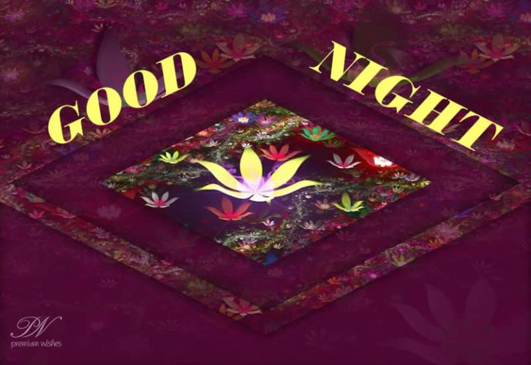 Good Night Wishes