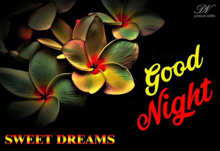Good Night Wishes