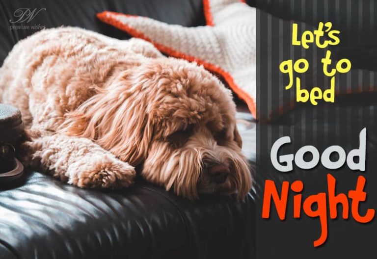 Good Night Wishes