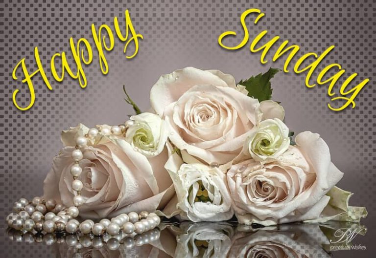 Happy Sunday – Spread love Happy Sunday – Spread love