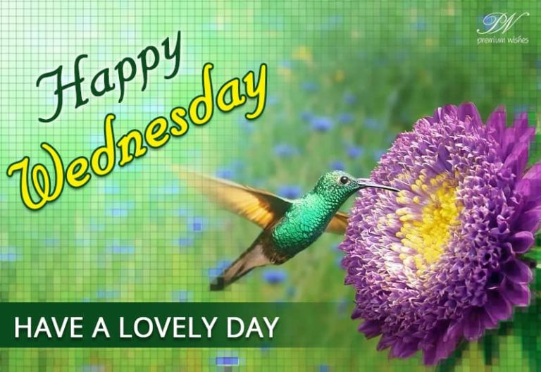 Have a lovely Wednesday – Good Morning