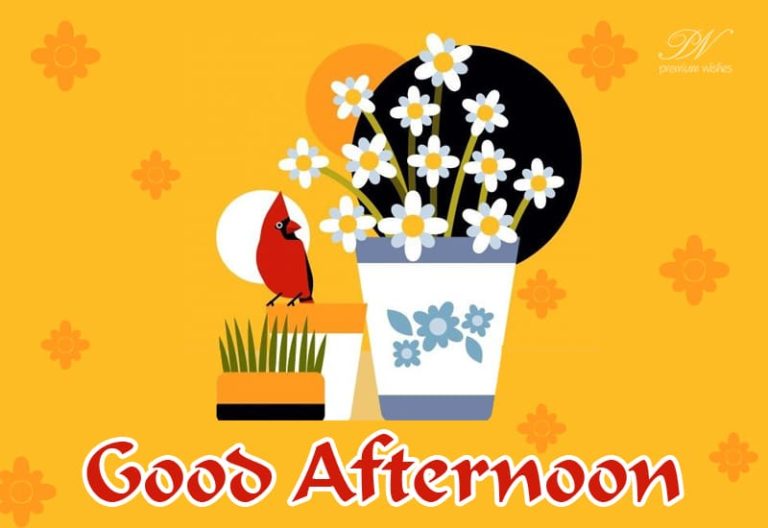 Good Afternoon Wishes