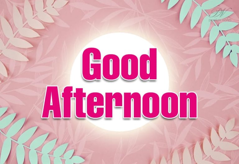 Good Afternoon Wishes