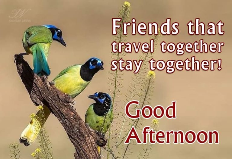 Good Afternoon Wishes