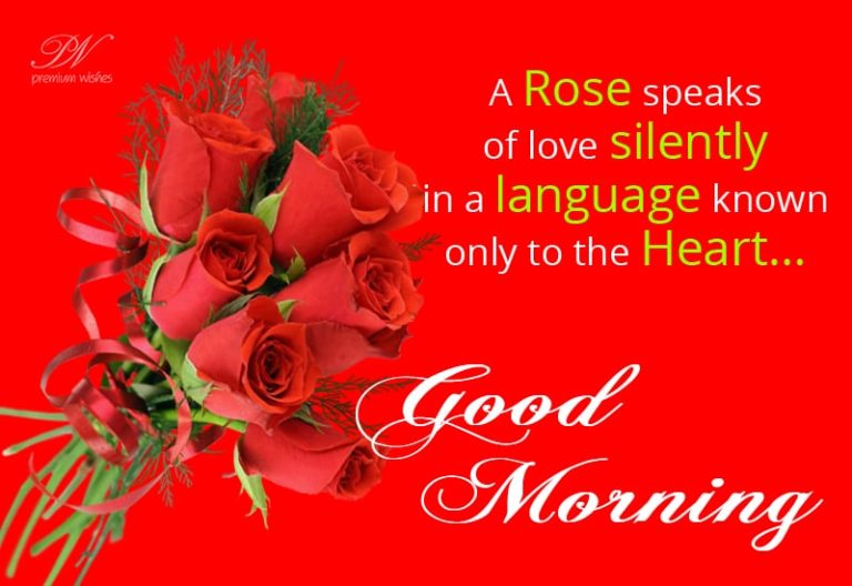 Good Morning – Rose Speaks Silently The Language Of Heart